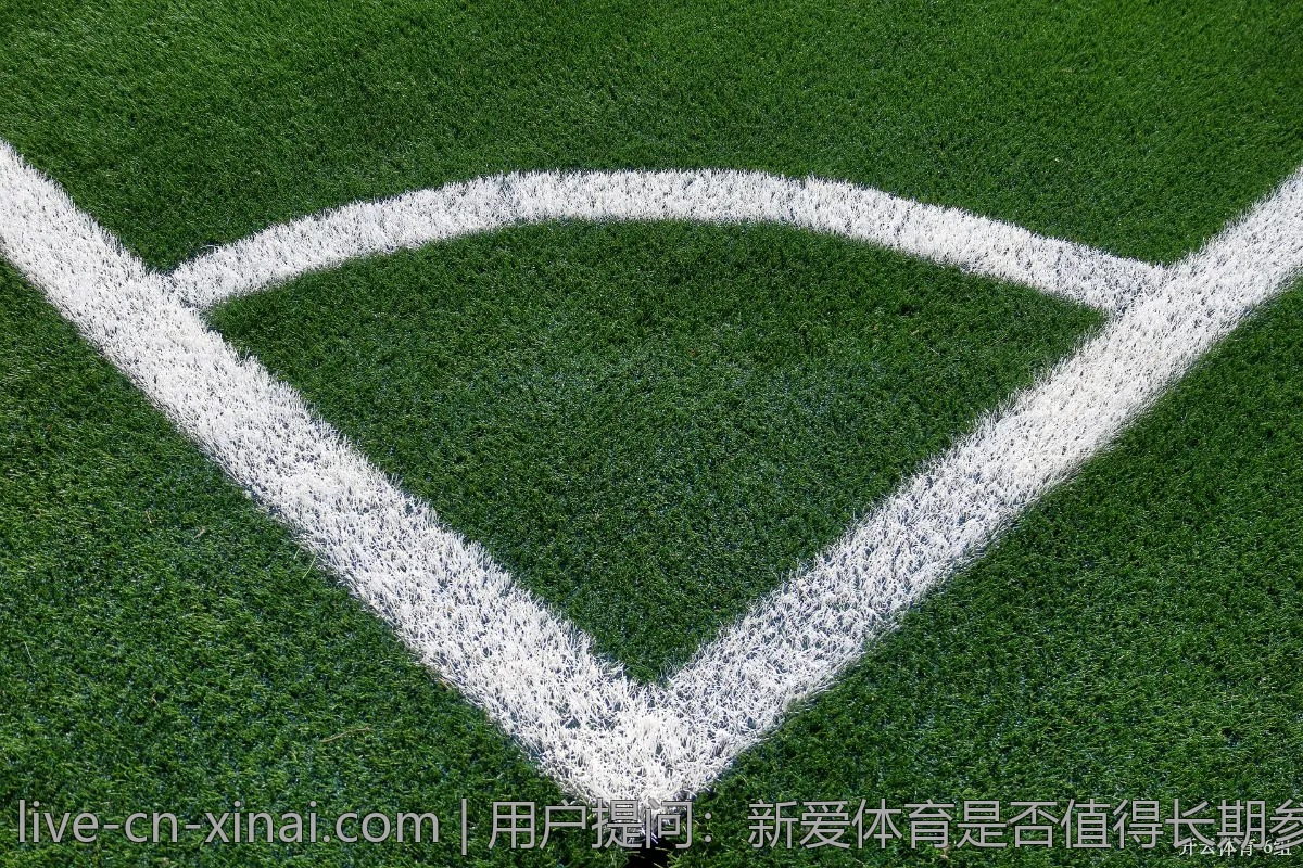 用户提问:新爱体育是否值得长期参与投资?