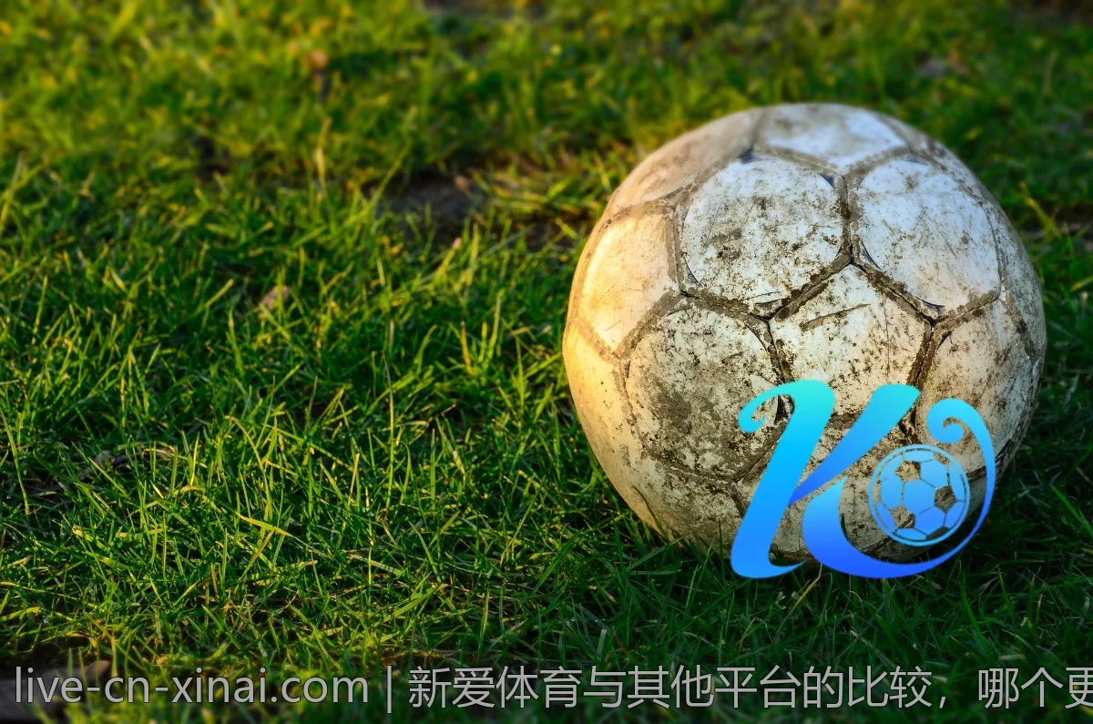新爱体育与其他平台的比较,哪个更适合你?