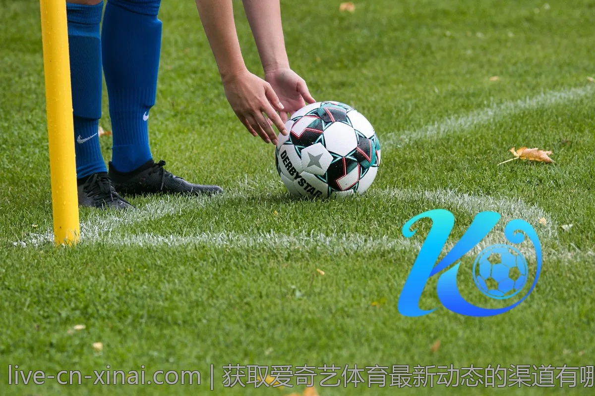 获取爱奇艺体育最新动态的渠道有哪些？