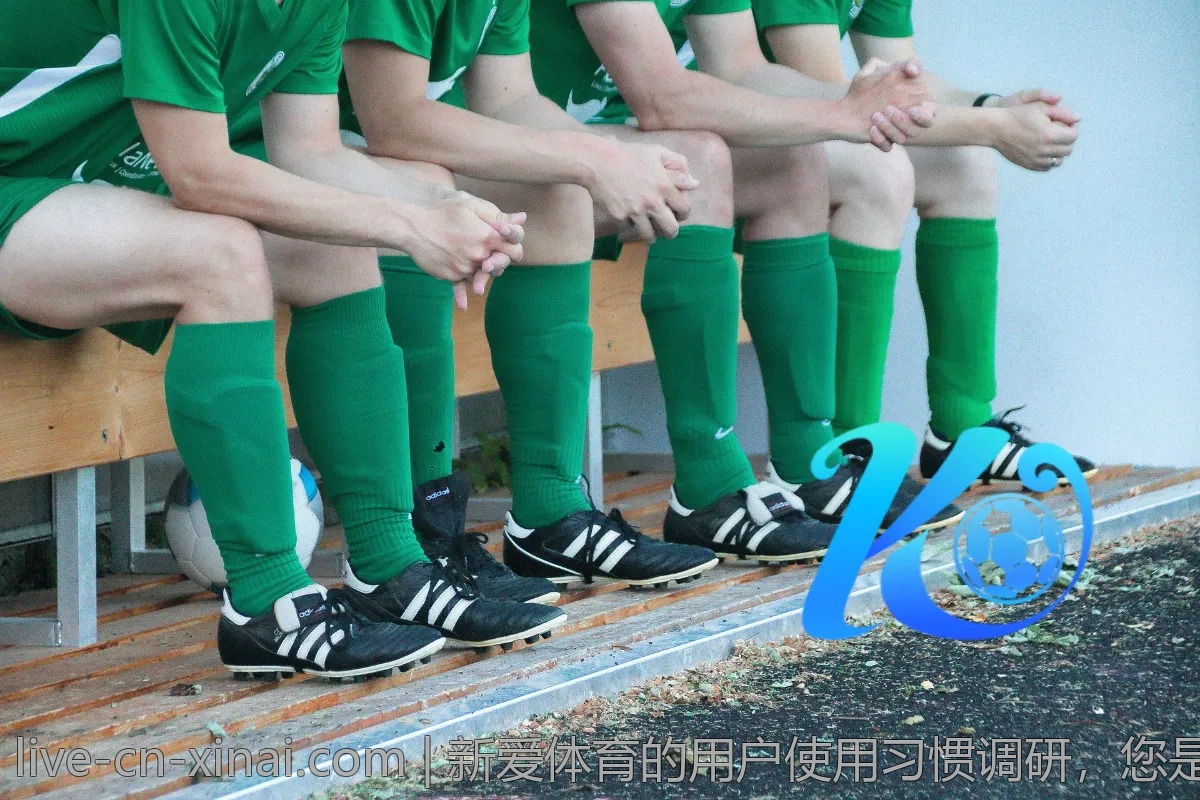 新爱体育的用户使用习惯调研，您是哪个类型？